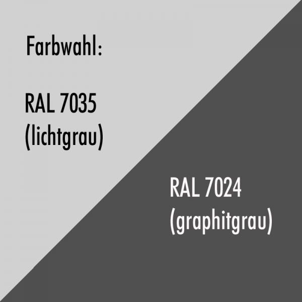 Wertschutztresor Format Gemini Pro 2